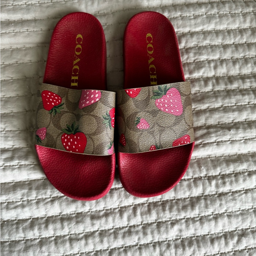Coach strawberry slides